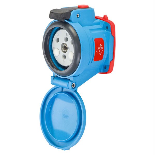 Pin & Sleeve Receptacle, 30 A, 480V AC, 2 Pole, Screw Terminals Wire Connection Type Blue, NEMA 4X